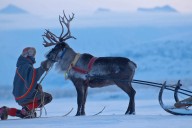 Voices from the land: Europe’s competition over Indigenous Sámi resources (commentary)