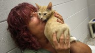 Why Gaston County's animal shelter is so full