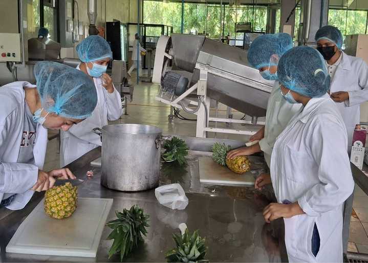 Impulsa UTHH formación práctica en Ingeniería en Alimentos