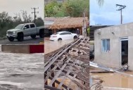 La lluvia no da tregua al golpeado municipio de Mulegé; vuelven a cerrar la carretera Transpeninsular