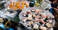NASA Raises Eyebrows With Picture of Astronauts’ ‘Space Sushi’