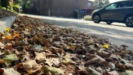 Dry start to fall means the warnings about outdoor fire dangers keep coming