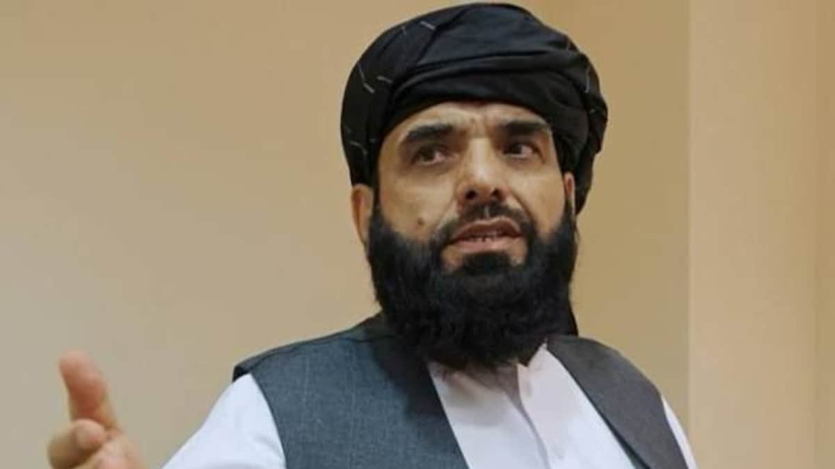 'Give Us Proof': Afghanistan Envoy Rejects Allegations Of Terror Networks In Kabul