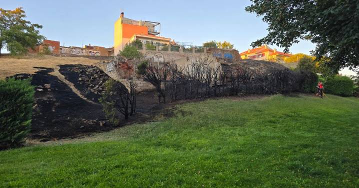 Un incendio junto al parque de Valhondo calcina varios arbustos