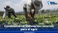 Otro paquete de ayudas económicas para sector agropecuario en Cundinamarca