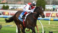 RACING 
                                          Premium
                                        Williams’ big day out at Caulfield landing both Group 1s