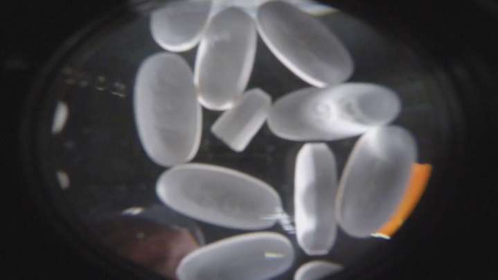 Hancock County residents urge leaders to use opioid funds for recovery transport
