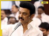 Stalin orders action after deadly stampede at Vijay's rally in Karur