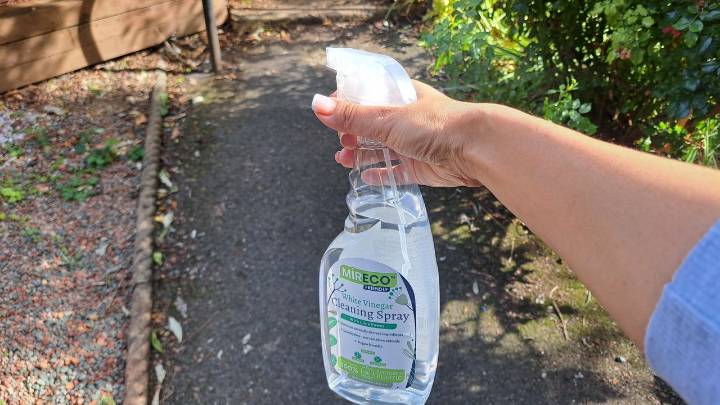 Gardeners urged to spray patios and paths with vinegar until November