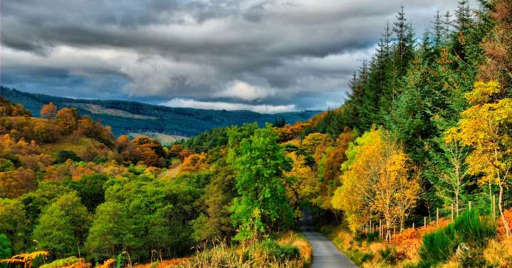Two picturesque Scottish road trips travellers can go on this autumn