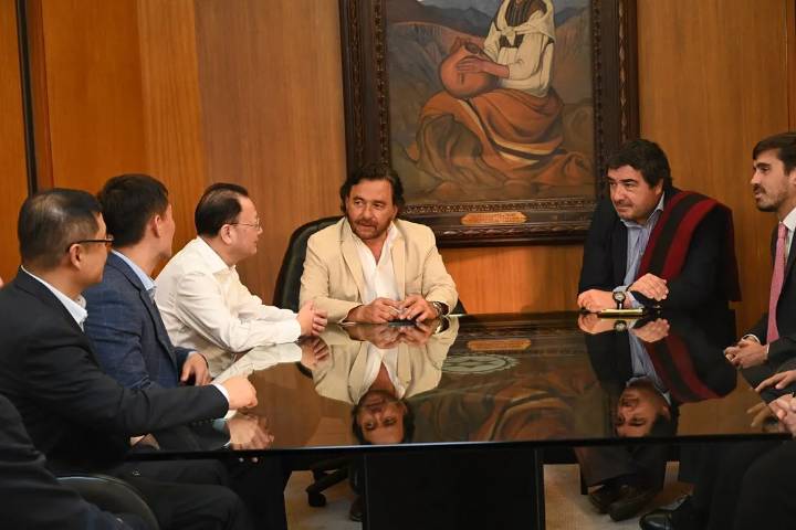El gobernador se reunió con directivos de Ganfeng Lithium para analizar un proyecto de inversión
