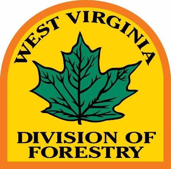 Division of Forestry relieved by rainfall this week, prepares for fall statutory fire season