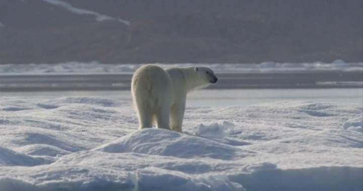 Canada, major fossil-fuel producers widen gap between output and climate targets: report