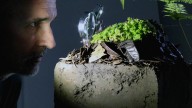 Medellín será epicentro de arte, ciencia y tecnología con el Festival Internacional Fotosíntesis 2025