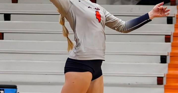 Carterville spikers rally past Herrin