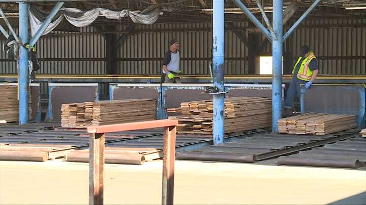 B.C. Government says it’s acting on BC Timber Sales review