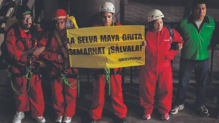 Acuerda Gobierno acciones con Greenpeace para la protección de la Selva Maya