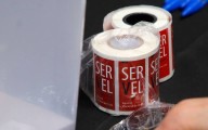 Cámara despachó al Senado proyecto que sanciona incumplimiento por no votar pero sin multas