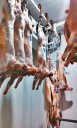 Recuerdan el potencial de la carne ovina para el mercado interno