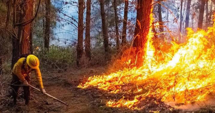 Senapred declara alerta roja en Machalí por incendio forestal que afecta a sitio de conservación Precordillera Andina Norte