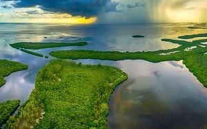 Charlotte Harbor-based estuary program hosting climate change summit