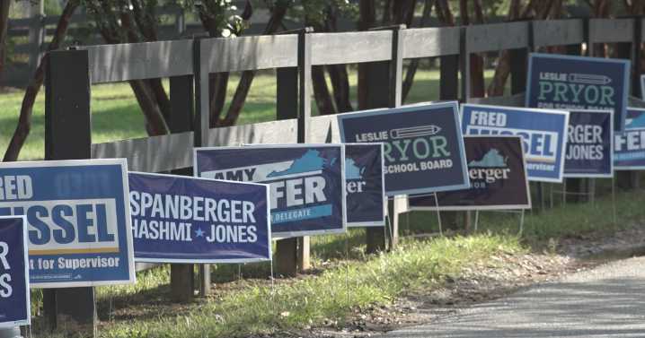 Albemarle Democrats hold picnic before election season