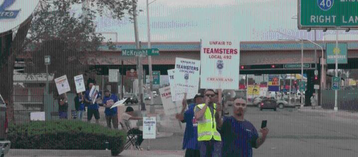 Creamland Dairy workers strike over pay and working conditions