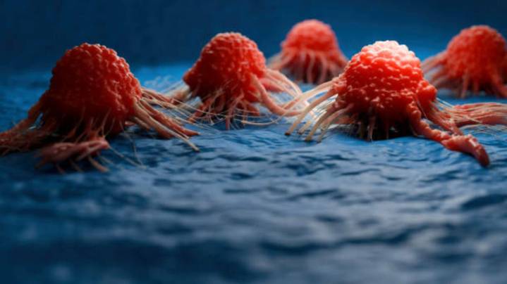 Candel Therapeutics: Oncolytic Immunotherapy Showing Broad Efficacy In Tough Tumors (NASDAQ:CADL)