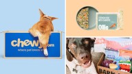 Are you a dog owner? You'll love our top 5 sales for pup parents