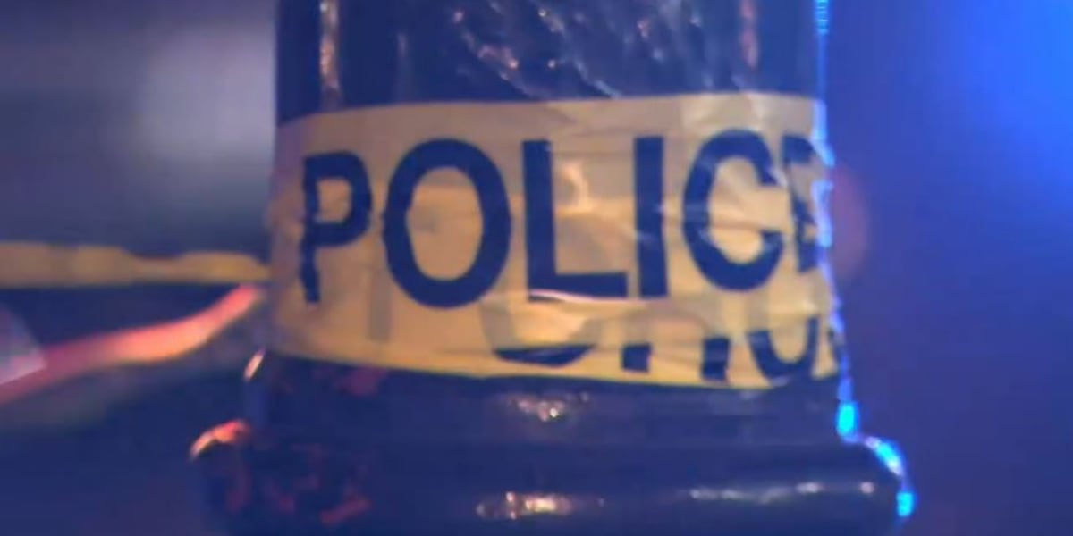 Suspect pleads guilty to deadly 2022 Springfield shooting