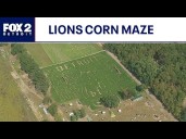 Lions corn maze honors Amon