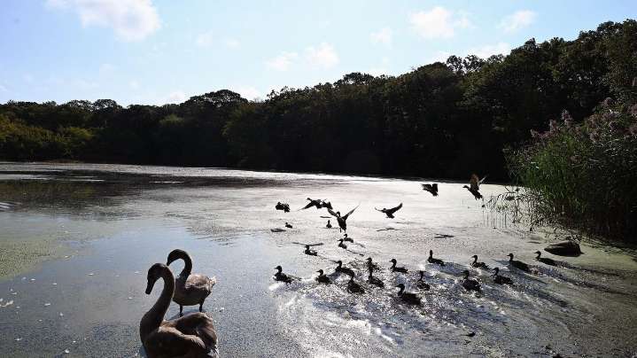 Long Island weather: Sunny weekend with little rain chance as drought watch continues for region