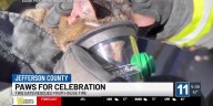 WATCH: Cats rescued from house fire!