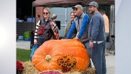 Giant Pumpkinfest returning to Saratoga Springs