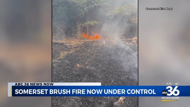 Crews contain brush fire on Jones Knob Road in Pulaski County
