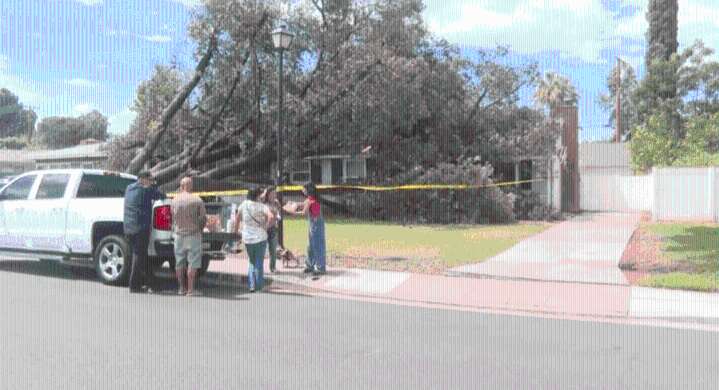 Tree falls onto Riverside home amid high winds