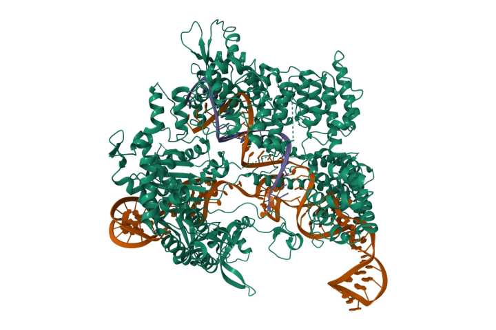 Crispr Therapeutics: Why Stock Fell On Q2 Earnings, And Why We're Now Back On Track (CRSP)