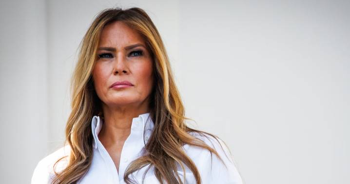 Melania Trump's team has aggressively knocked down Epstein