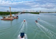Cancún: reubican más de 2,000 especies por obras del Puente Nichupté