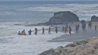 Héroes en Mijas: bañistas forman una cadena humana para salvar a un hombre que se ahogaba en la playa