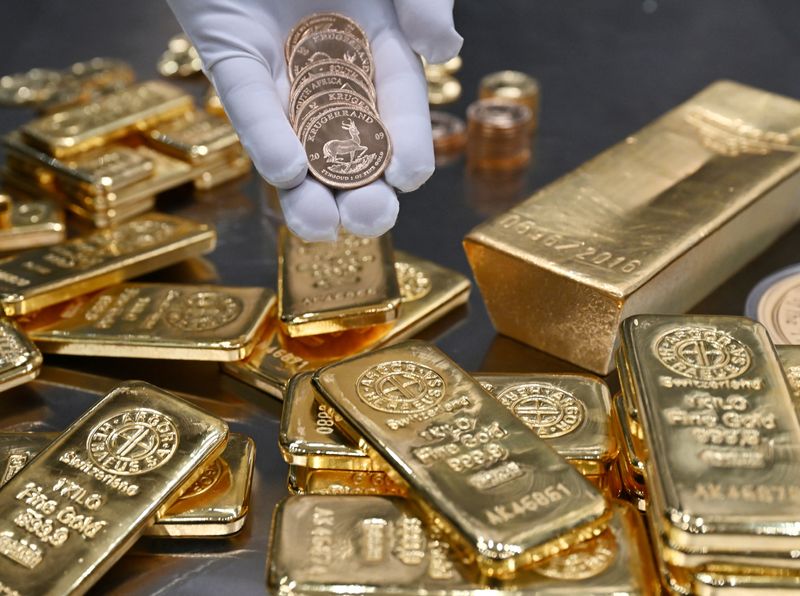 Explainer-Gold's record-breaking rally: who's keeping it going?