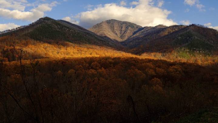 When will we see peak fall foliage in East Tennessee?