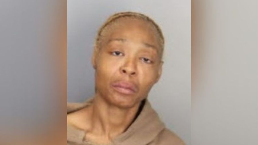 'I've always wanted kids': Woman charged with kidnapping father, 2 kids off street