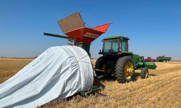 Ahead of weekend rains, Weyburn farmers making harvest progress