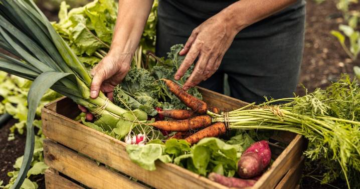 Sophie Hansen champions seasonal eating for CWA Awareness week