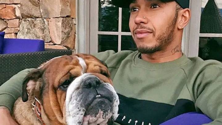 Murió Roscoe, el perro de Lewis Hamilton: el doloroso posteo del piloto de Fórmula 1