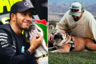 Lewis Hamilton Announces Death of His Dog Roscoe After Pneumonia
