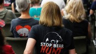 More than 160,000 apply for Florida's first bear hunt in a decade, wildlife officials say