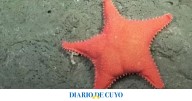 El Conicet comienza una nueva exploración: dónde será y cómo verla en vivo