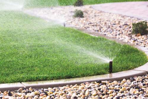 A guide to fall lawn care for cool